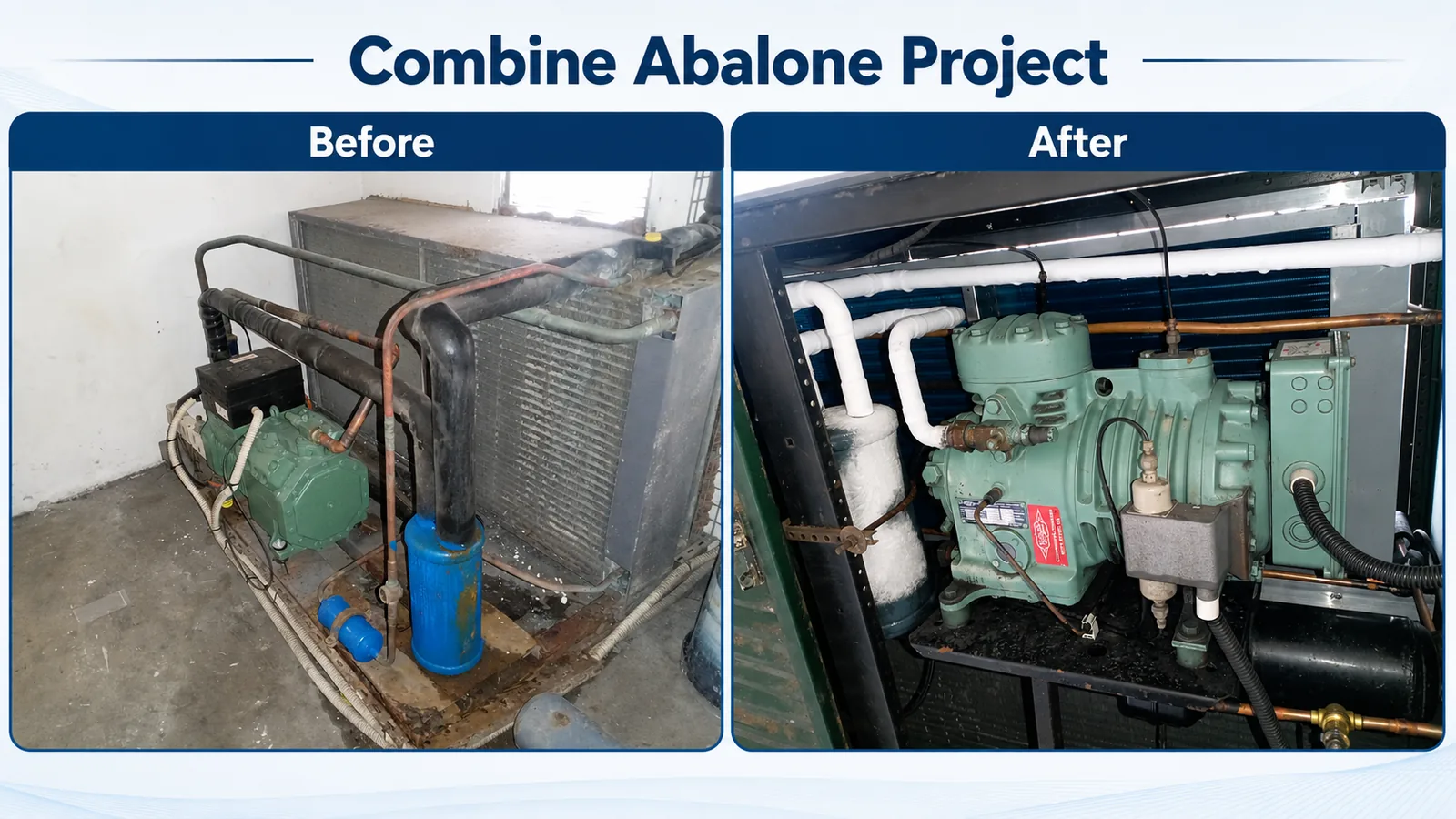 Combined Abalone freezer condenser replacement before and after comparison showing the old leaking commercial refrigeration condenser and the upgraded refrigeration system installed by Glotech Group in Hermanus.