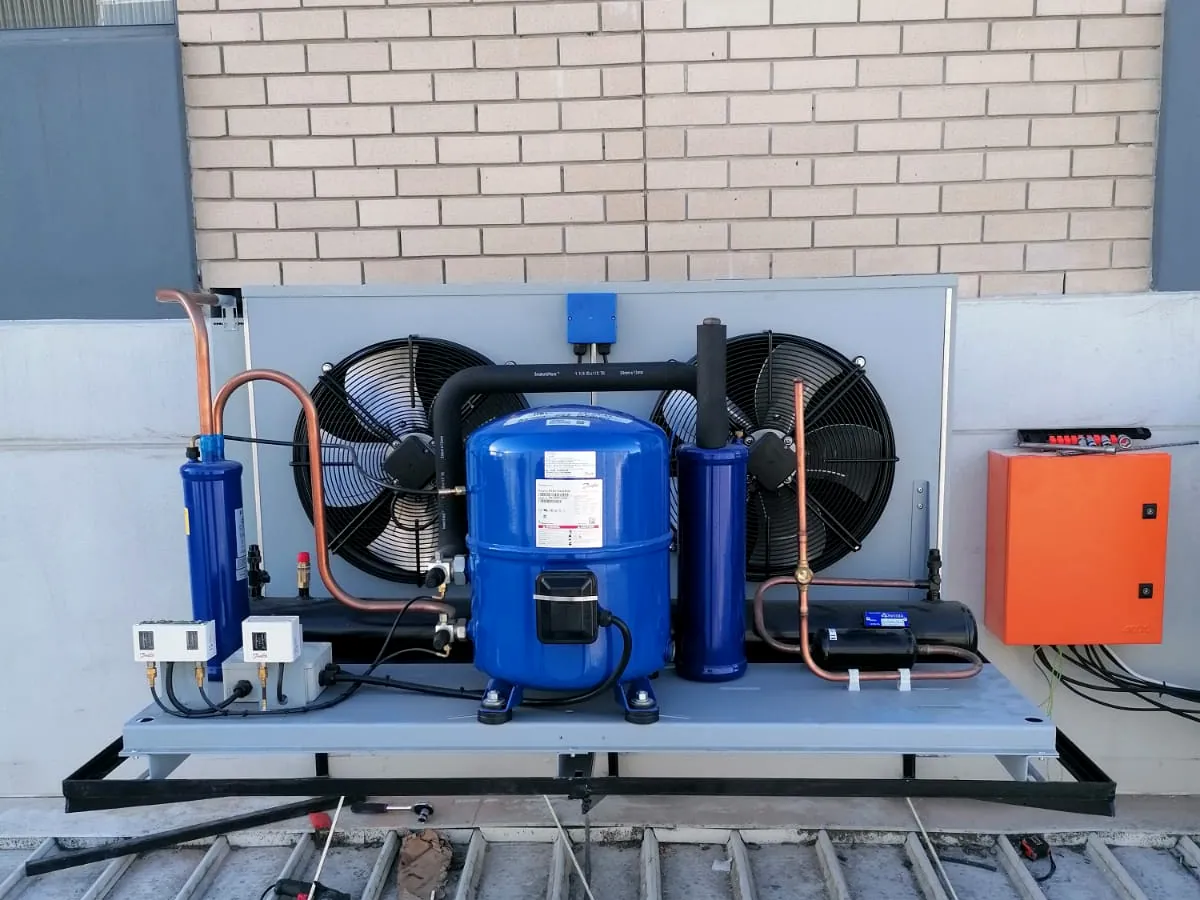Outdoor refrigeration condensing unit for the Food Directions blast freezer system